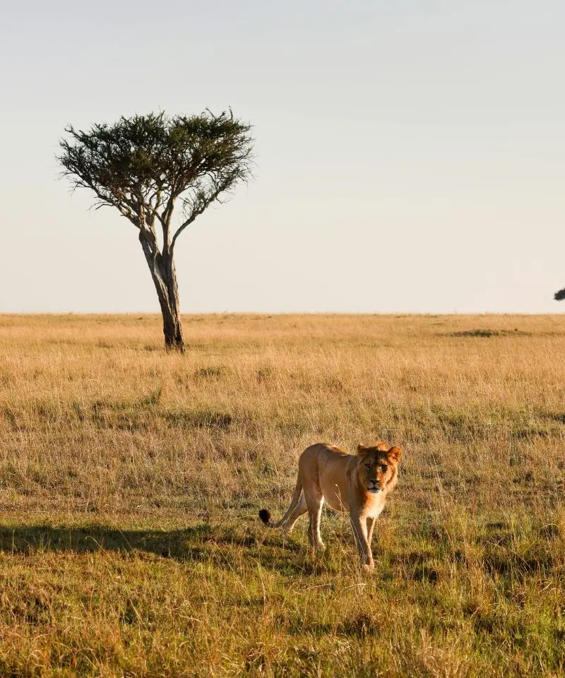 Serengeti National Park