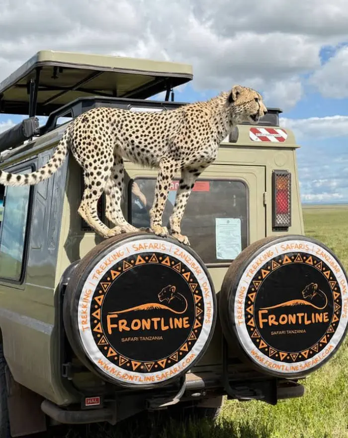 Frontline Safari Tanzania, Expert Guides